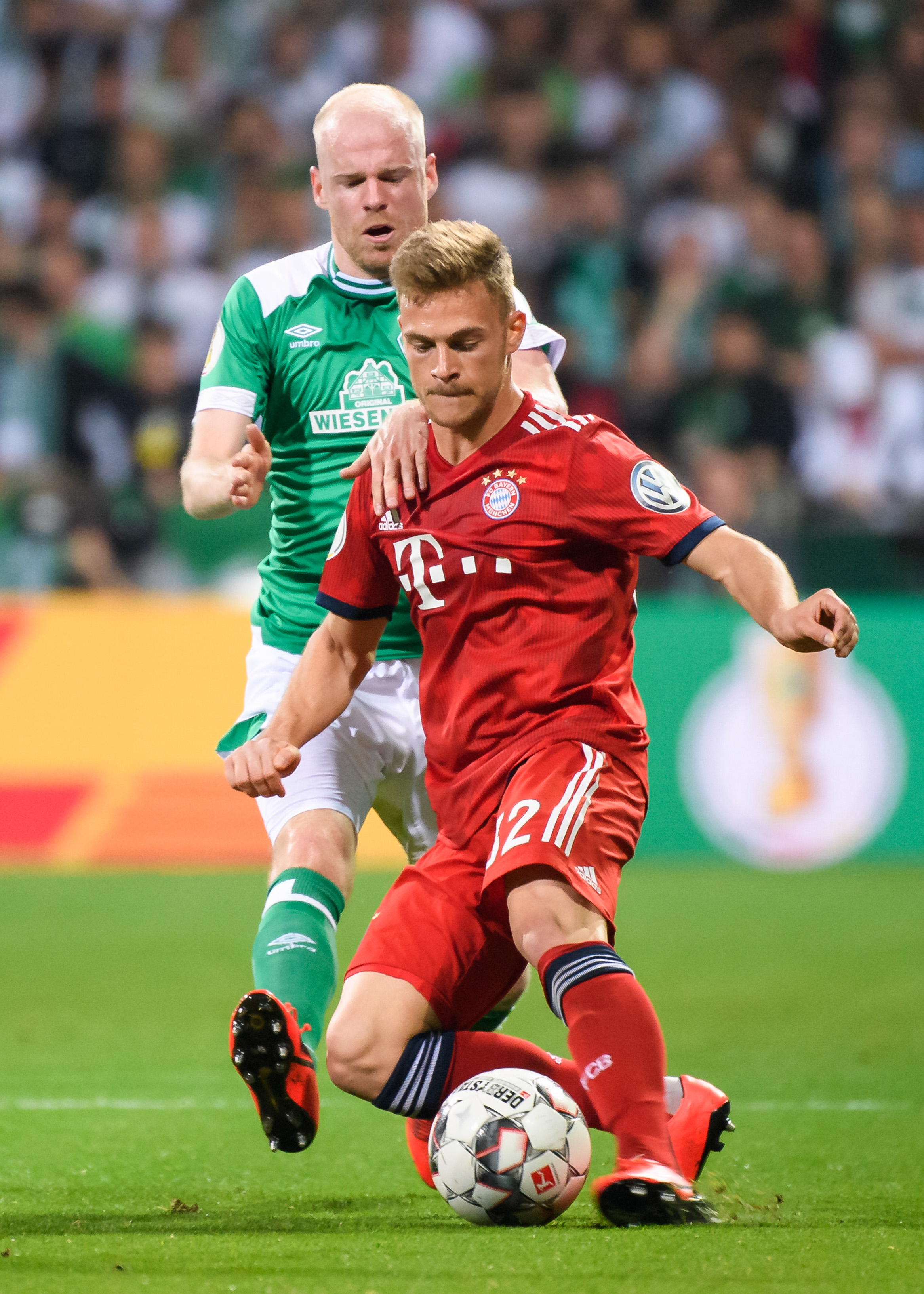 或将动刀治 或将动刀治