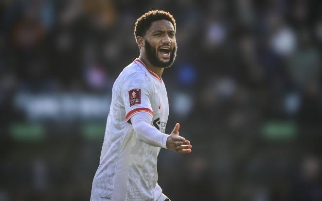 了极为成熟 了极为成熟